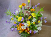 秋のお花
