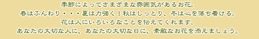 季節によってさまざまな雰囲気があるお花。春はふんわり・・・夏は力強く!秋はしっとり、冬は心を落ち着ける。花は人にいろいろなことを伝えてくれます。あなたの大切な人に、あなたの大切な日に、素敵なお花を添えましょう。