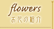 flowers - Ԃ̏Љ