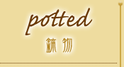 potted - 