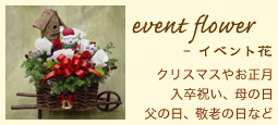 event flower - CxgԁFNX}X₨AjA̓A̓AhV̓Ȃ
