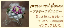 preserved flower-vU[uht[F܂ł॥v[gÃCeAƂāB