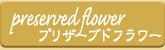 preserved flower - プリザーブドフラワー