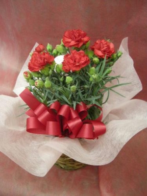 各種イベントをお花で華やかに 大阪府寝屋川市萱島駅近くの花屋in My Life