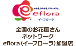 全国のお花屋さんネットワークeflora（イーフローラ）加盟店